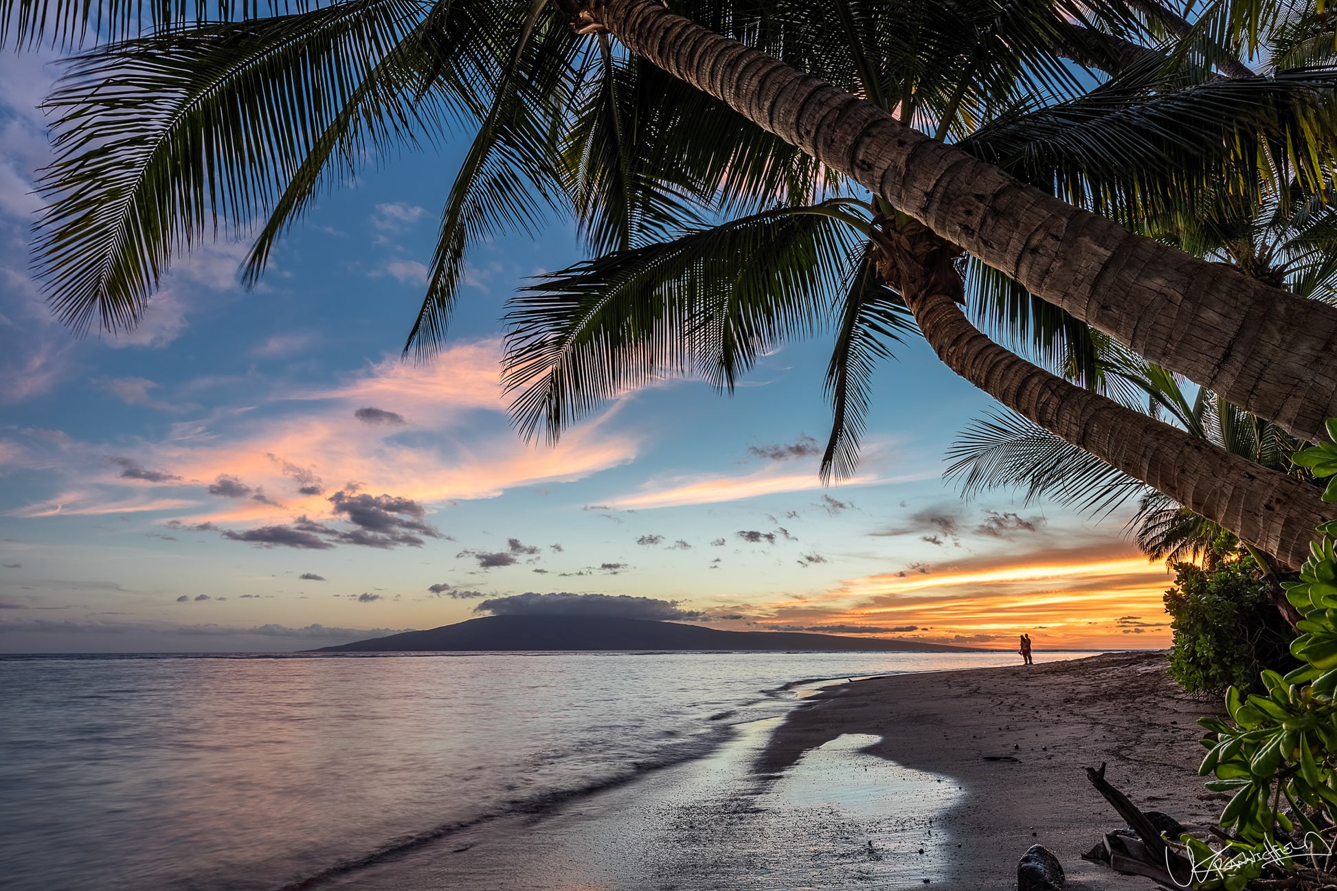 Sunset over a beach with palm trees and a person standing on the shore.