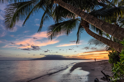 Sunset over a beach with palm trees and a person standing on the shore.