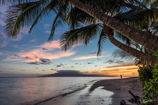 Sunset over a beach with palm trees and a person standing on the shore.