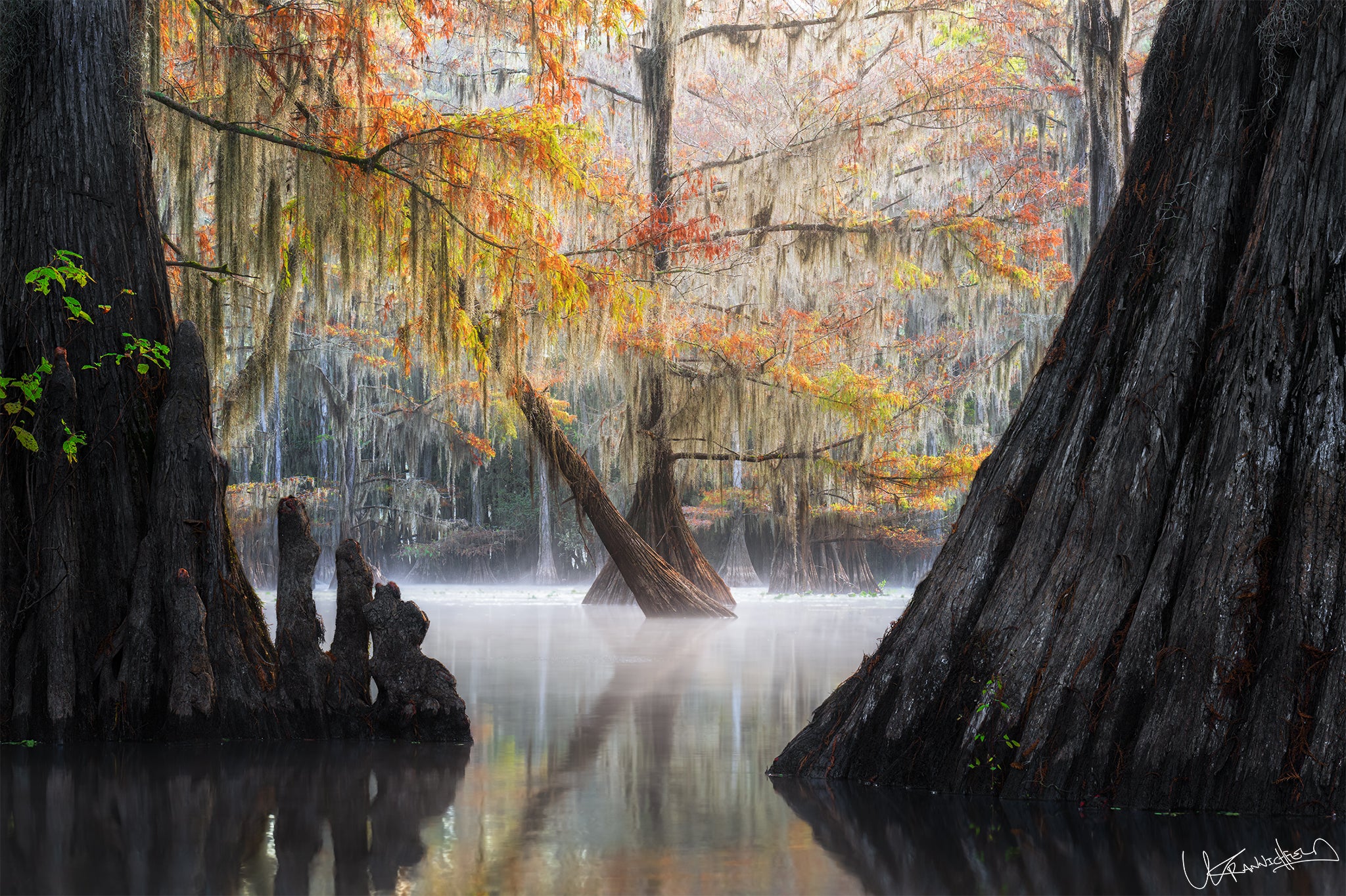 Mischief - Beautiful fall colors on still water|Texas – Lyle Krannichfeld