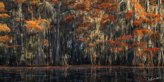 Autumnal trees with orange and red leaves reflected in a calm body of water.