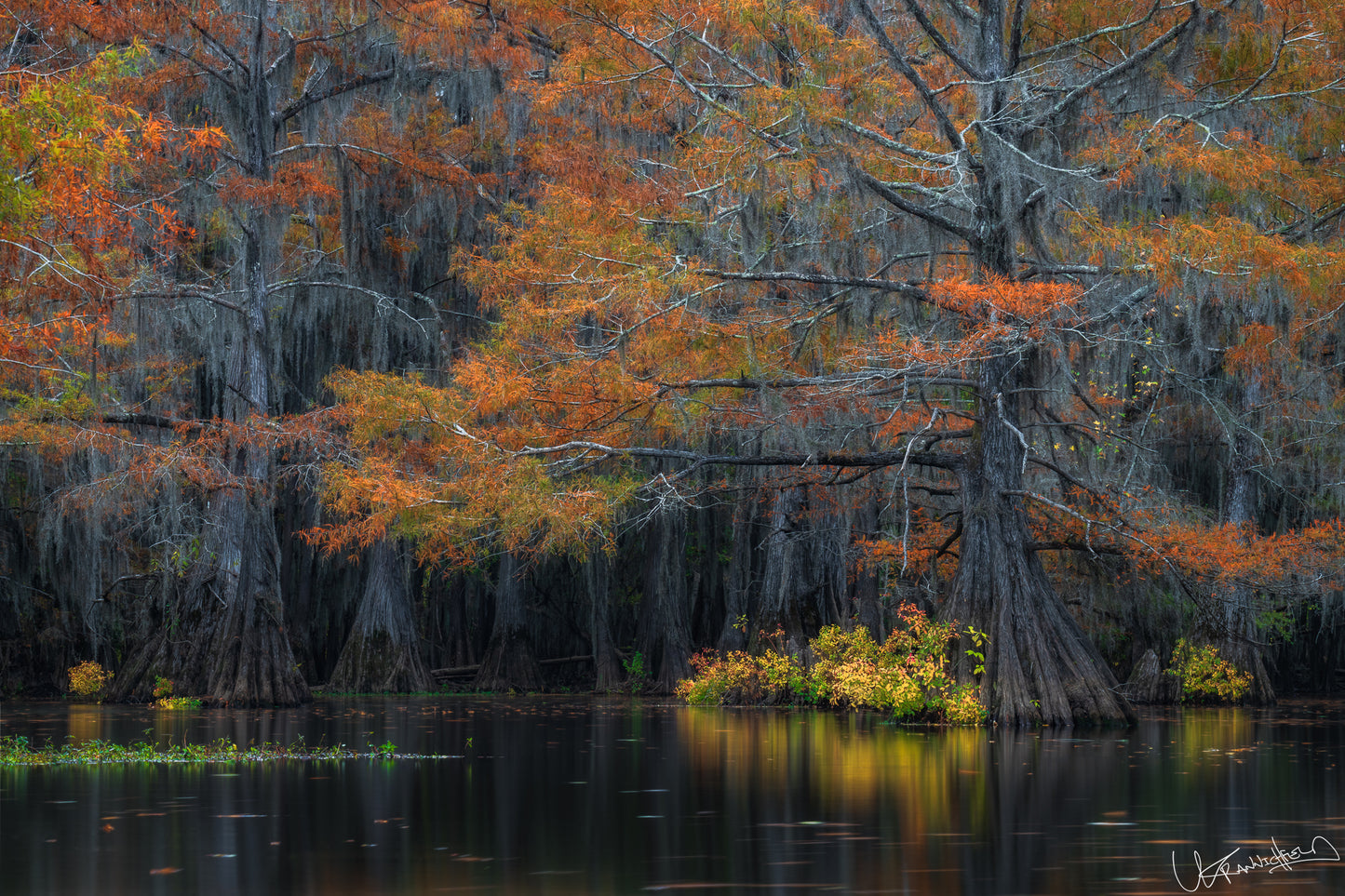 Autumnal trees with orange and green leaves reflected in a calm body of water.