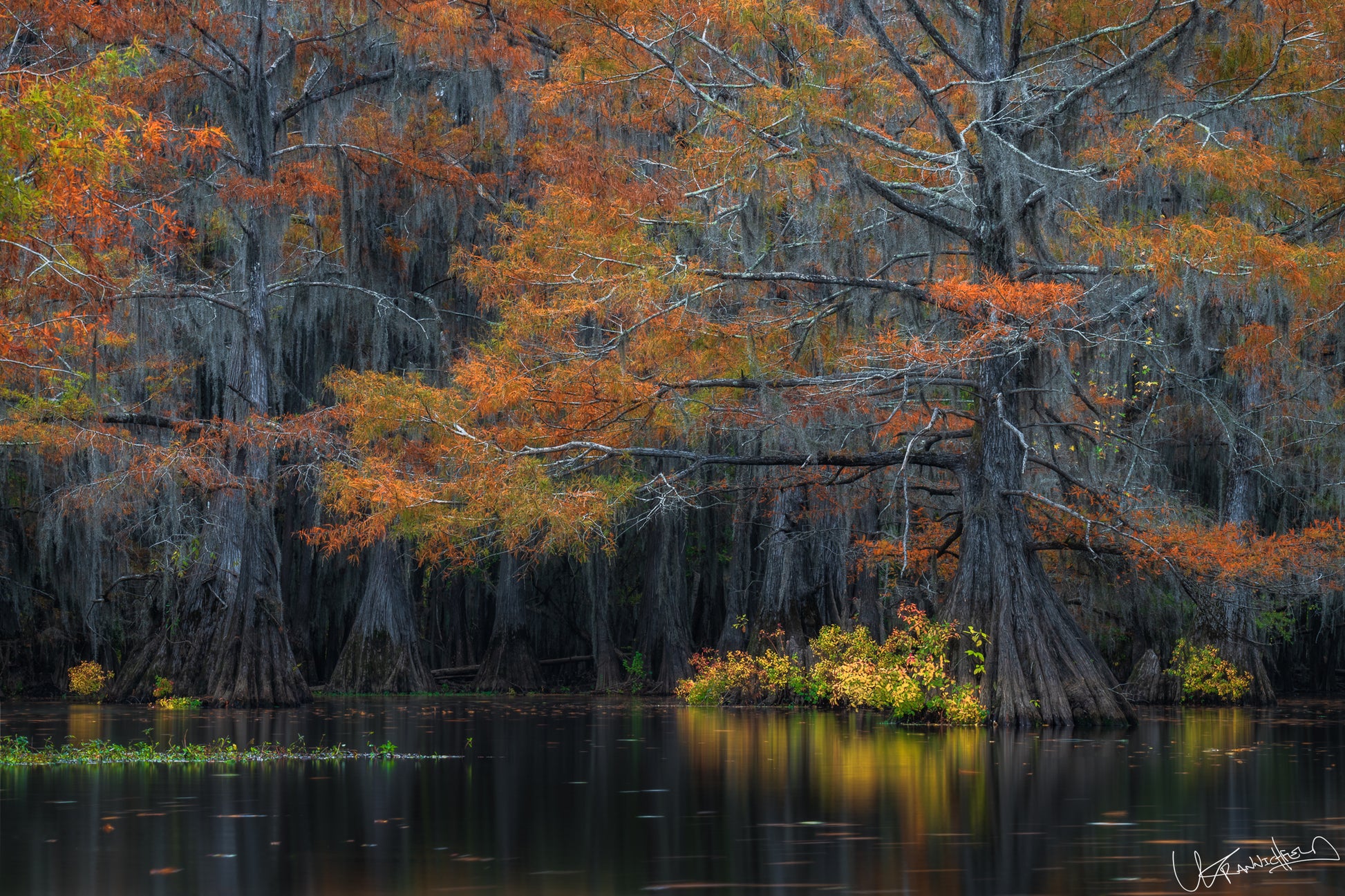 Autumnal trees with orange and green leaves reflected in a calm body of water.