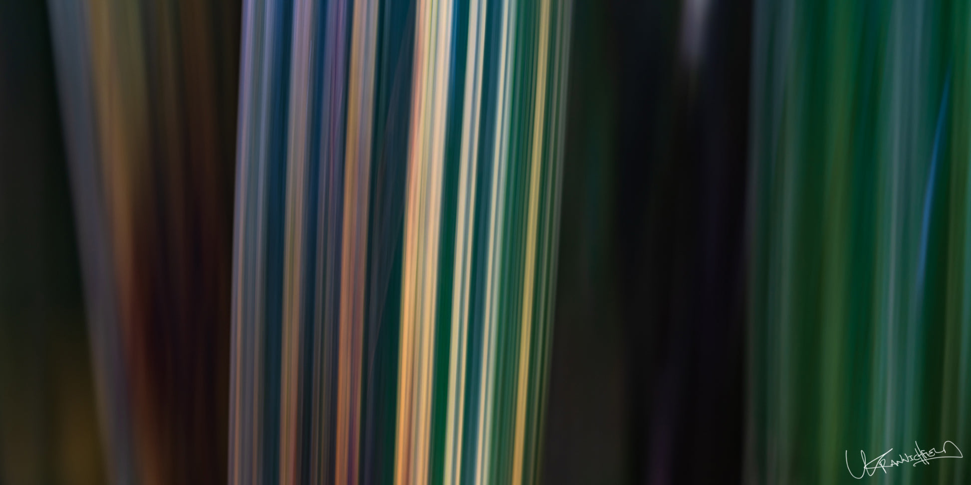 Close-up of bamboo with multicolored stripes on a dark background
