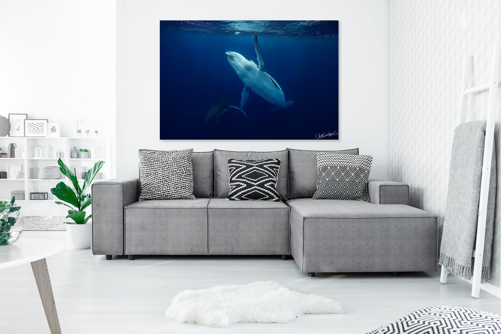 Gray sectional sofa with decorative pillows in a living room setting, featuring an extra large photograph of a whale 