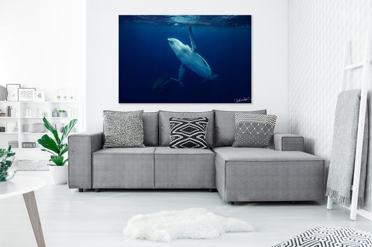 Gray sectional sofa with decorative pillows in a living room setting, featuring an extra large photograph of a whale 