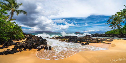 A vibrant image depicting a tropical beach scene with blue skies, white clouds, palm trees, and ocean waves washing up on the shore.