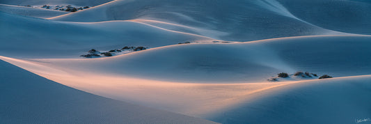 Desert landscape with sand dunes and sparse vegetation with warm sunrise light.