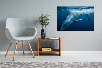 Living room with a gray chair, wooden side table, and whale photograph on the wall.