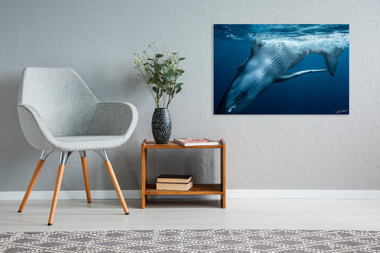 Living room with a gray chair, wooden side table, and whale photograph on the wall.