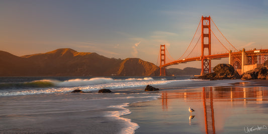 Sunset at the Golden Gate Bridge with reflection on water and a bird on the beach.