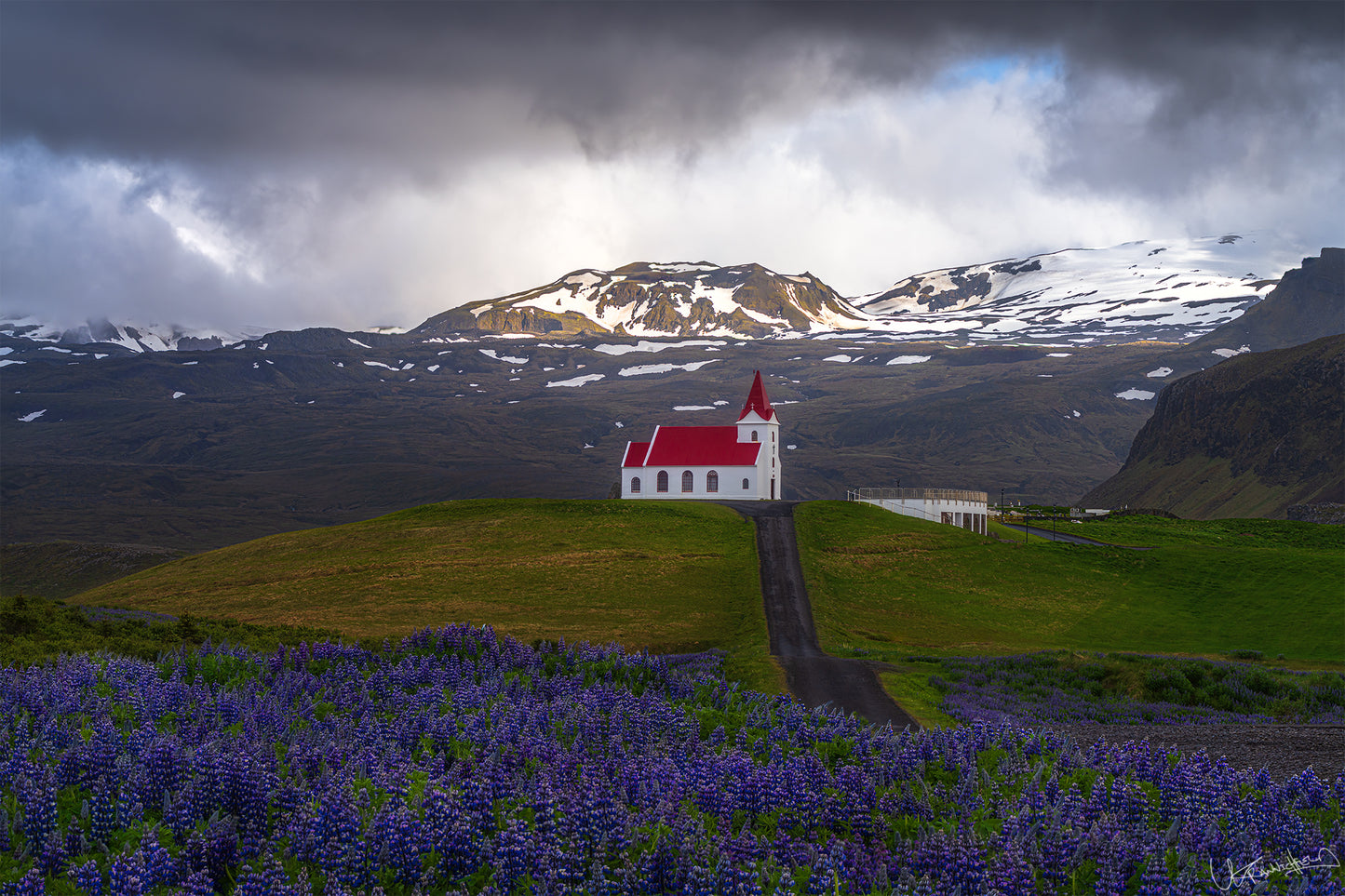 Small white church with a red roof in a field of purple flowers with mountains in the background