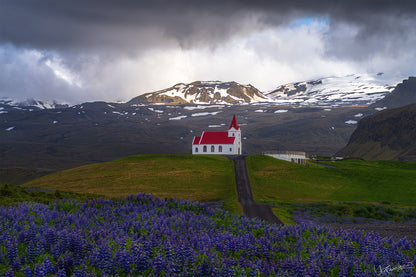 Small white church with a red roof in a field of purple flowers with mountains in the background