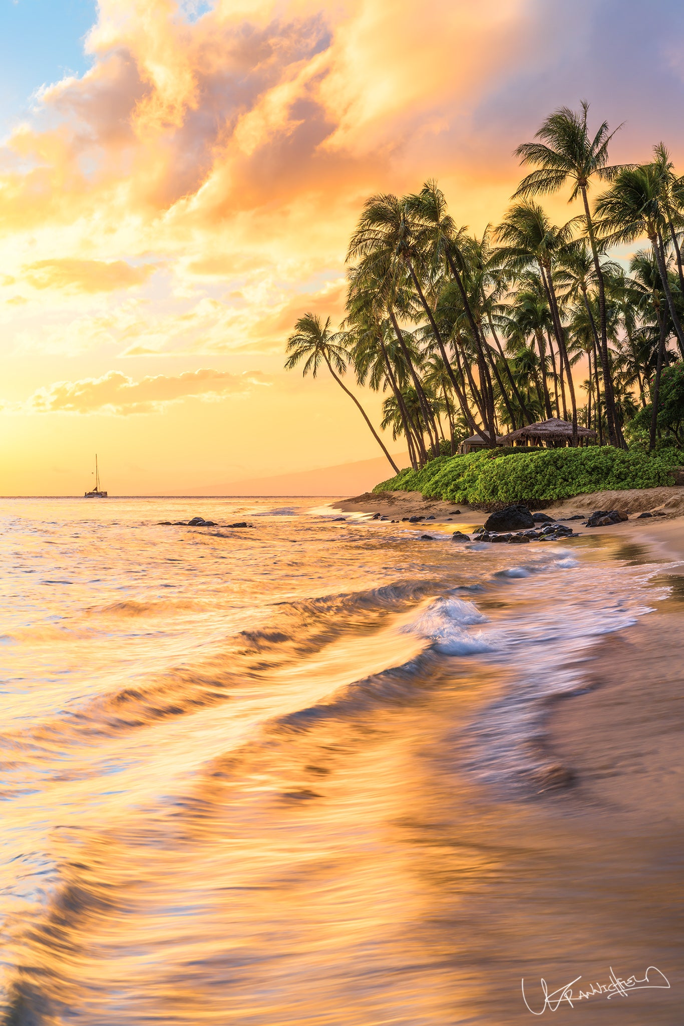 A vibrant image depicting a beautiful sunset over an ocean beach with palm trees in the background. The sky is filled with warm hues, reflecting off the water's surface.