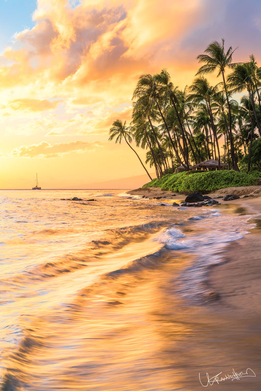 A vibrant image depicting a beautiful sunset over an ocean beach with palm trees in the background. The sky is filled with warm hues, reflecting off the water's surface.