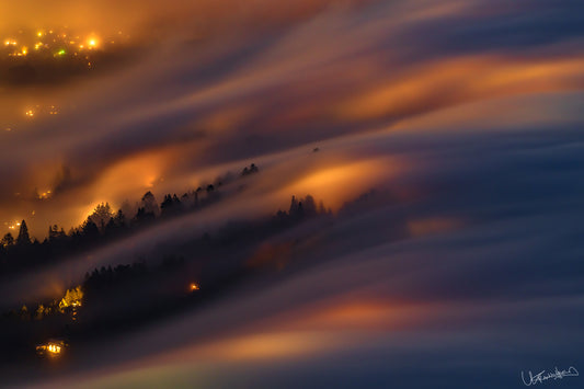 Fog rolling over a forest at night with warm light illuminating the trees.