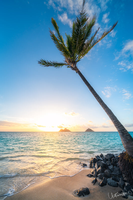 A vertical image featuring a palm tree on a beach with turquoise water and two small islands in the background. The sky is clear with a hint of orange near the horizon.