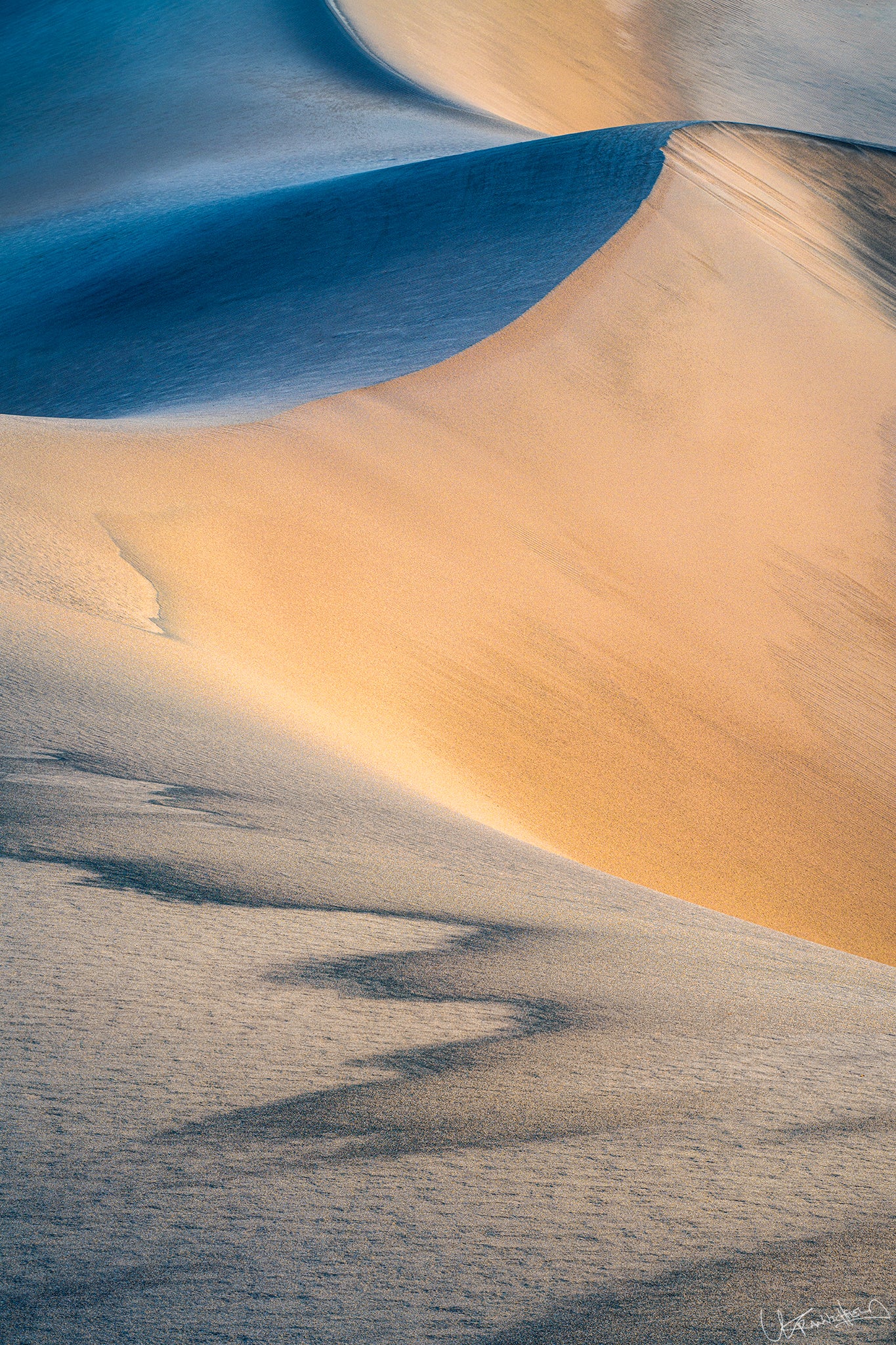 Desert landscape with winding sand dunes at sunrise