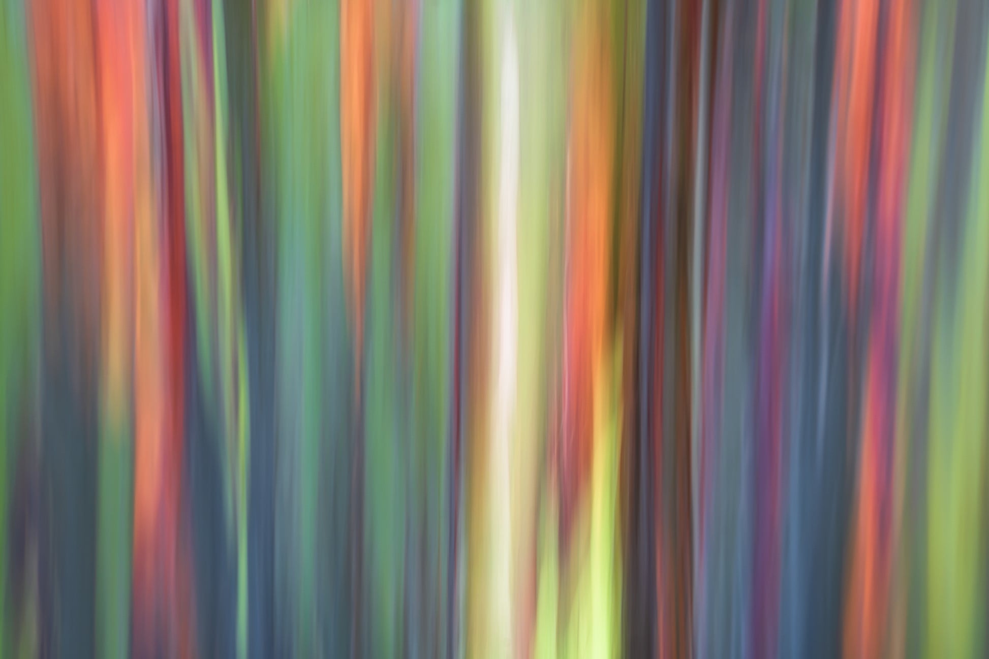 Abstract multicolored vertical stripes
