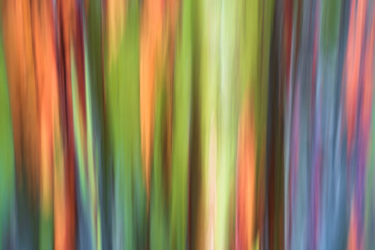 Abstract colorful blurred vertical stripes