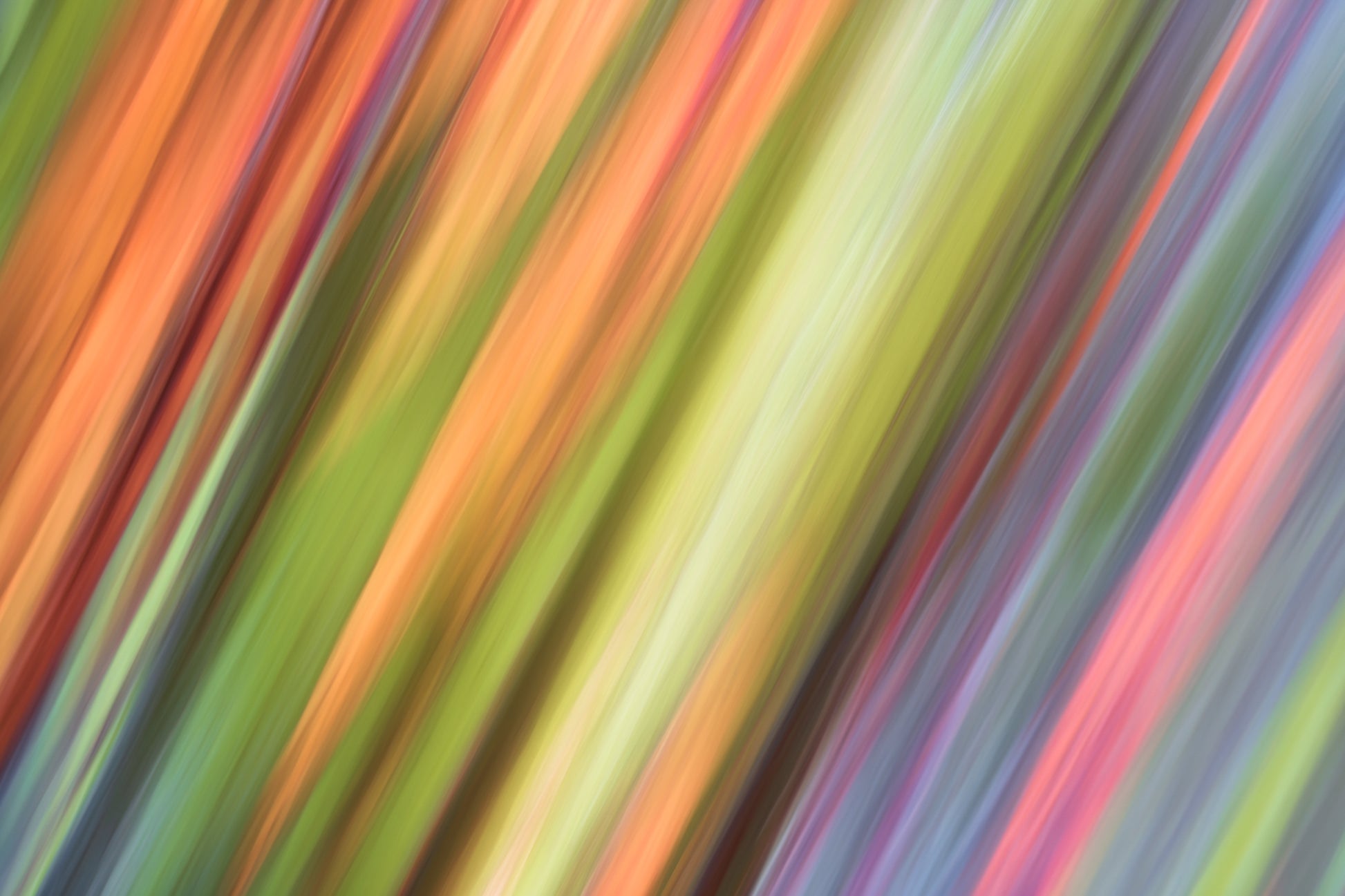 Abstract colorful pattern with blurred motion effect