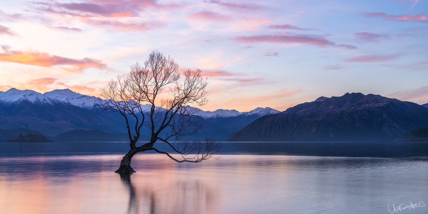 Lonely tree on a lake with mountains in the background during sunset.