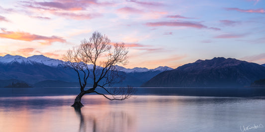 Lonely tree on a lake with mountains in the background during sunset.