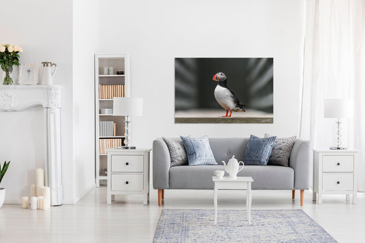 Living room with a puffin photo on the wall