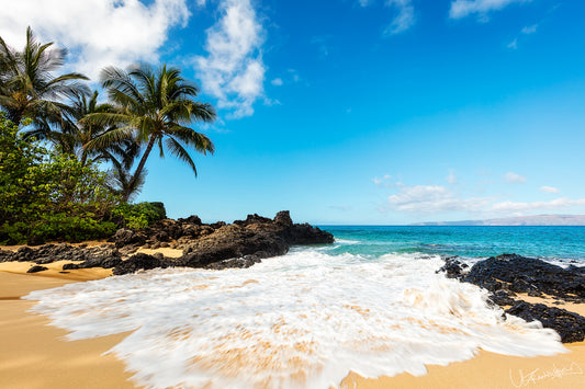 Tropical beach with palm trees, rocky outcrops, and blue ocean under a clear sky.