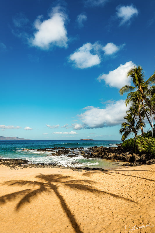 Beach scene with palm trees, ocean, and blue sky