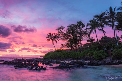 Sunset over a tropical island with palm trees and rocky shore.