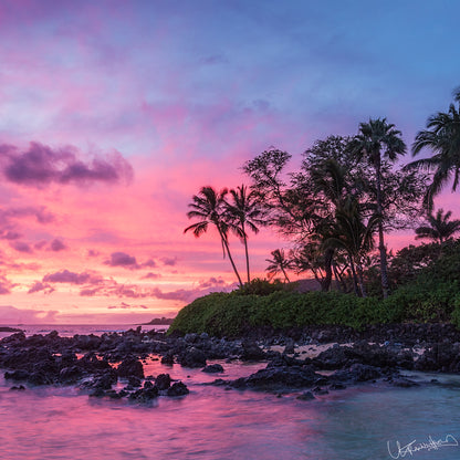 Tropical sunset with palm trees and rocky shore