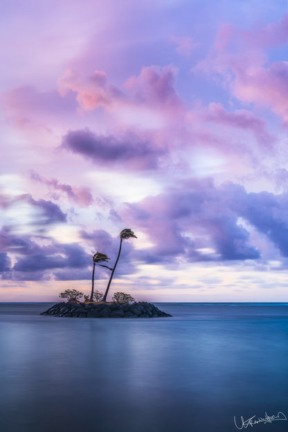 A vibrant image depicting a cotton candy sunrise over a small island with two palm trees, surrounded by the ocean.