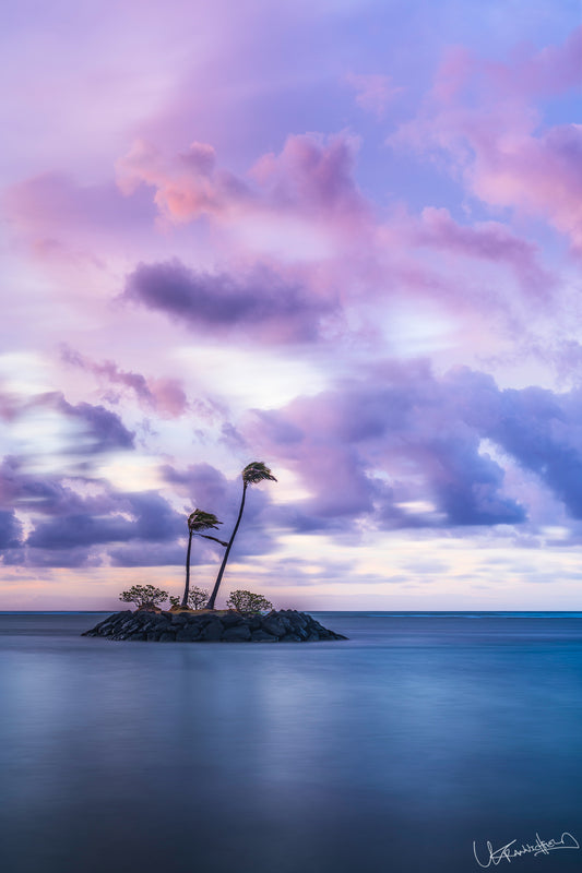 A vibrant image depicting a cotton candy sunrise over a small island with two palm trees, surrounded by the ocean.