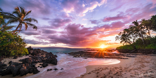 A vibrant image featuring a sunset over a beach with palm trees in the foreground and ocean waves meeting the shore.