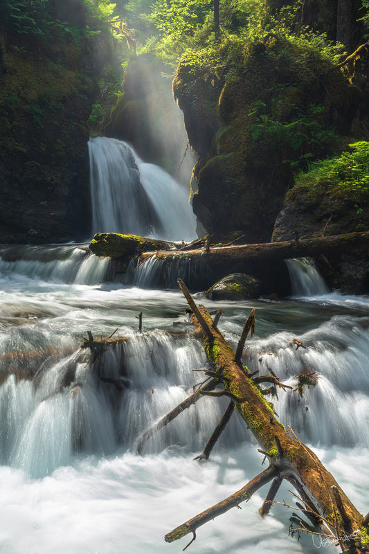 Waterfall in a lush green forest with sunlight filtering through the trees.
